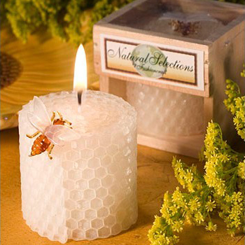 Children's Birthday Party Supp - огляд і ціна Soy Wax